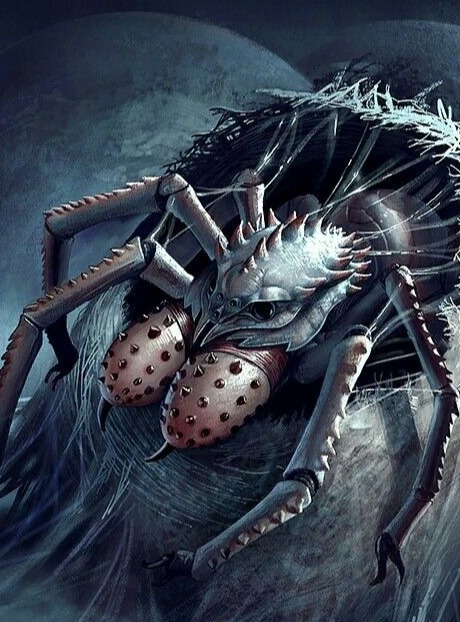 Araignée géante