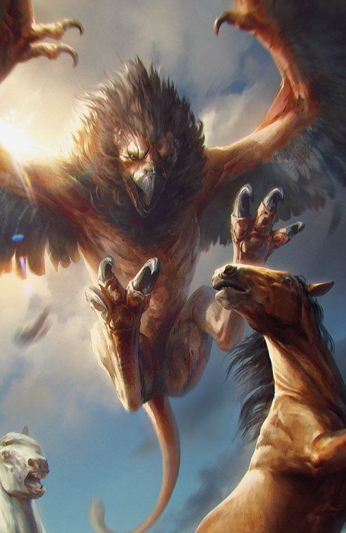 Griffon